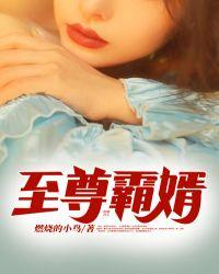 至尊霸婿 燃烧的小鸟