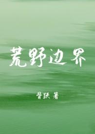 荒野边界的国际服