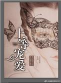 上等宠爱好看吗