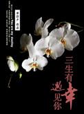 三生有幸遇见你文案短句