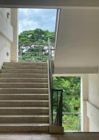同窗同床同学