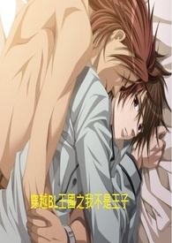 穿越bl王国之我不是王子免费