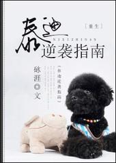 泰迪逆袭指南车在哪里