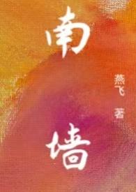 南墙已撞全文免费阅读
