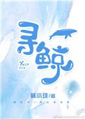 寻鲸电商怎么样可靠吗