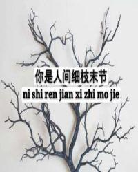 你是人间细枝末节大结局