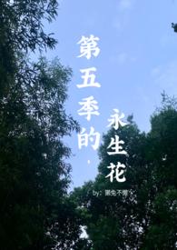 第五季的永生花百合