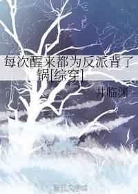 每次醒来都是为反派背锅