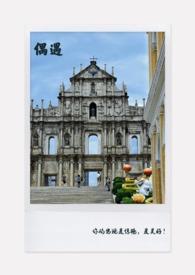 偶遇和缘分有什么区别