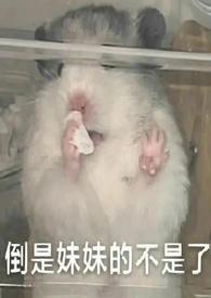 她太投入gltxt