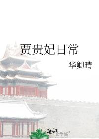贾府贵妃