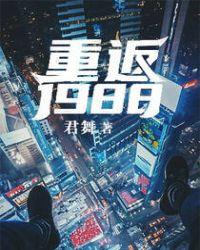 重返1988简介
