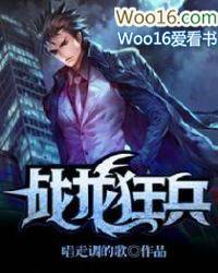 战龙狂兵TXT