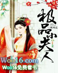 极品小夫君超级奶爸