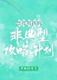 漂亮男孩的非典型攻略计划在线阅读