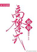高攀式婚姻免费阅读全文