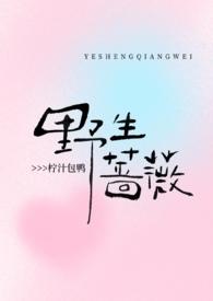 野生蔷薇的图片大全