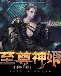 至尊神婿免费