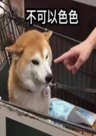 穿成年代文里的恶毒女配系统嫌我娇气