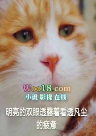 未婚先孕全文