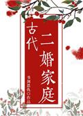 古代二婚家庭txt