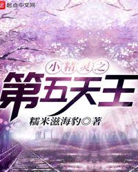 小精灵之第五天王无弹窗