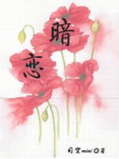 暗恋直男的日子 司空