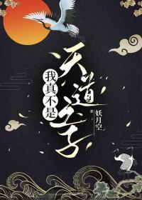 我真不是天道之子+番外