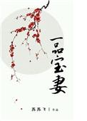一品宝妻百度