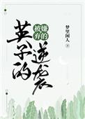 被嫌弃的英子的逆袭故事内容