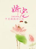娇宠小皇后(清穿)