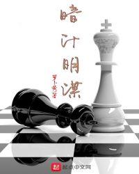 明谋暗娶六面
