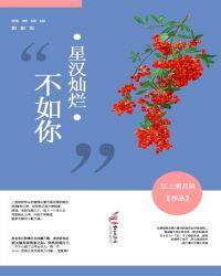 星汉灿烂讲的是什么