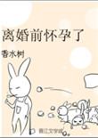 离婚前怀孕了作者香水树