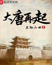 大唐再起书评