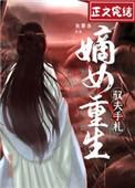 嫡女重生驭夫手扎