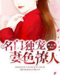 名门婚宠老婆太迷人