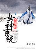 直男的女神系统晋江