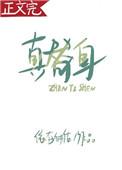真替身制作