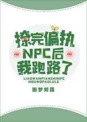 撩完偏执npc后我跑路了txt