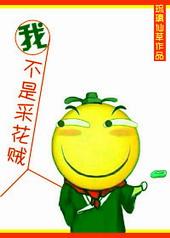 我真不是采花贼TXT