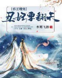 邪王独宠丑妃太任性