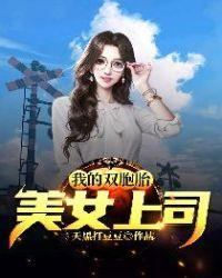 我的双胞胎美女上司免费观看