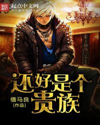 类似还好是个贵族的