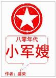 八零年代小军嫂 盛荣