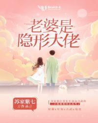 老婆是隐型大佬