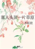 寡人头顶一片草原txt