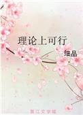 理论上可行晋江文学城