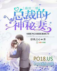 盛世二婚总裁的神秘妻