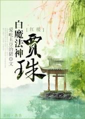 红楼之贾珠免费阅读